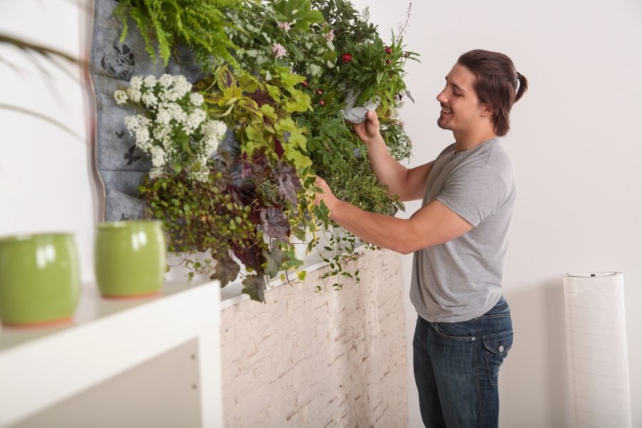 Dicas para horta vertical