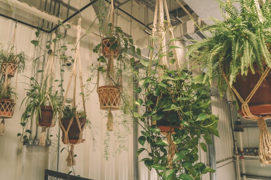 jardim interior estilo e decoração