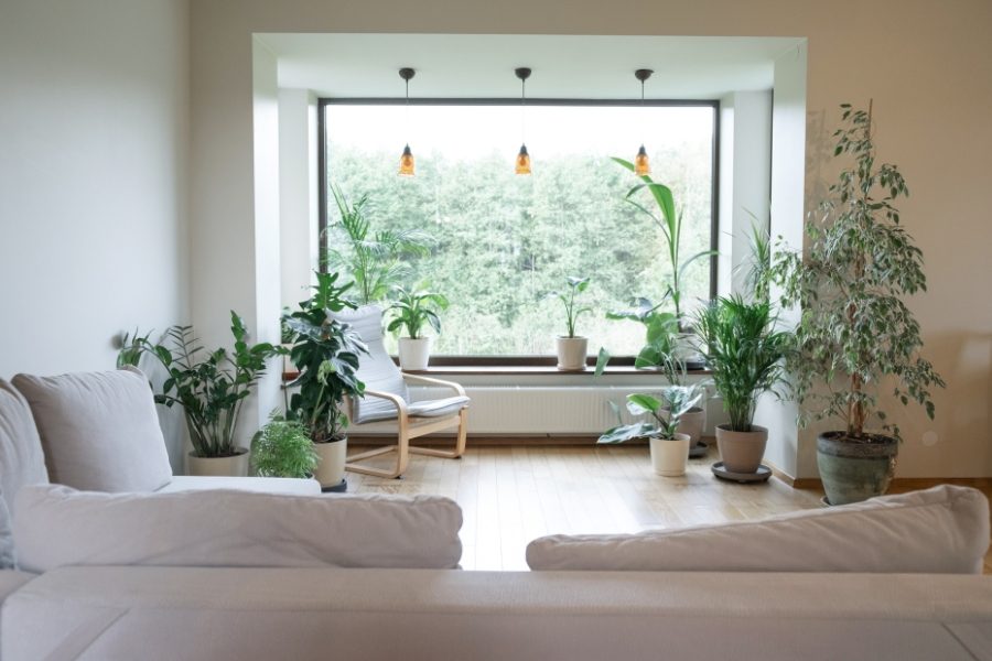 jardim interior ideais
