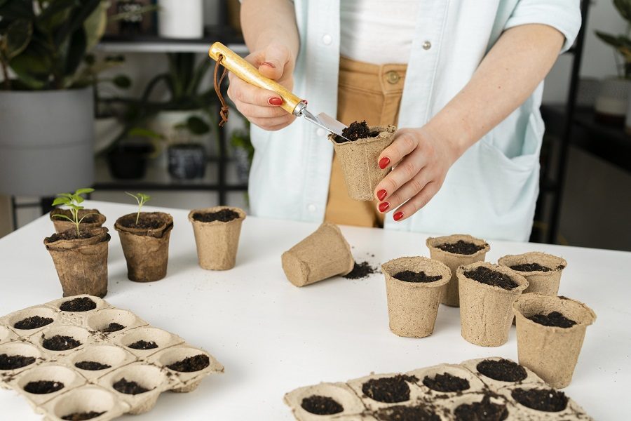 porque as folhas das plantas ficam amarelas