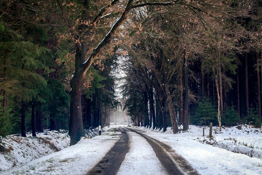 solstício de inverno