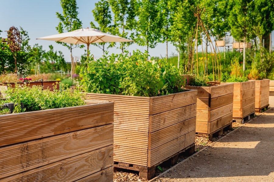 canteiros para jardim elevados