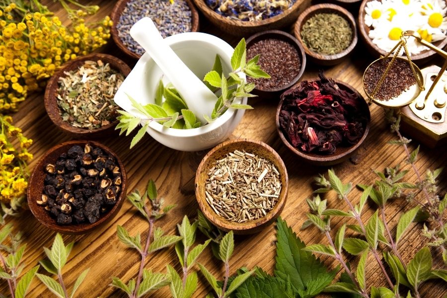 Como fazer extratos de plantas medicinais 2