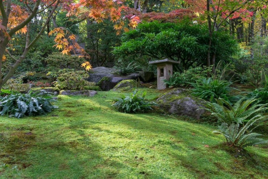 jardim japones criar
