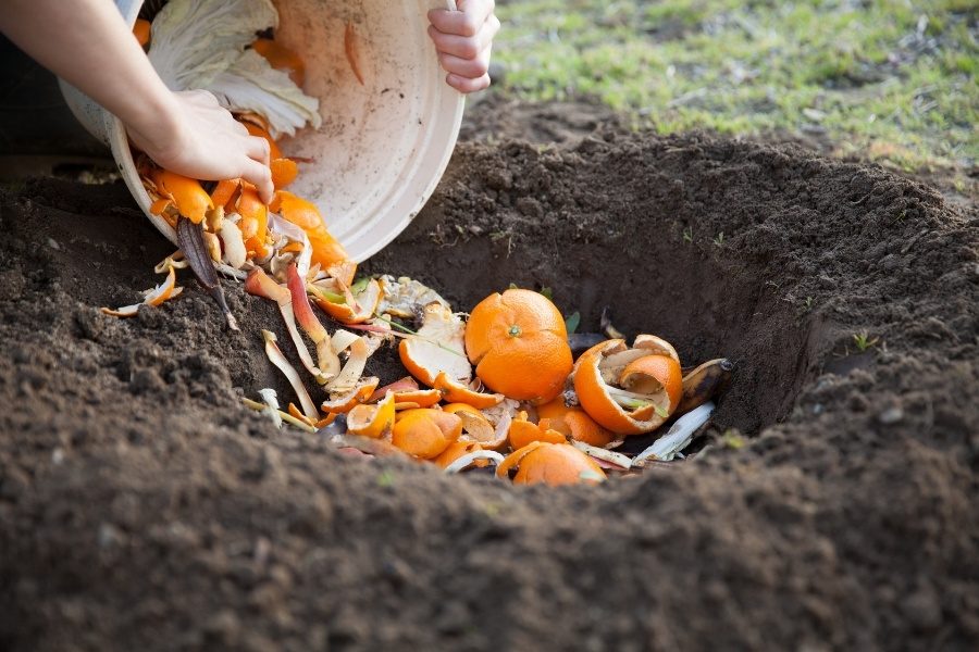 Como fazer compostagem doméstica