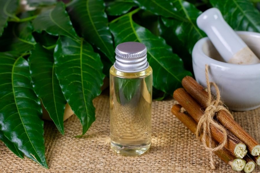 Como fazer óleo de neem