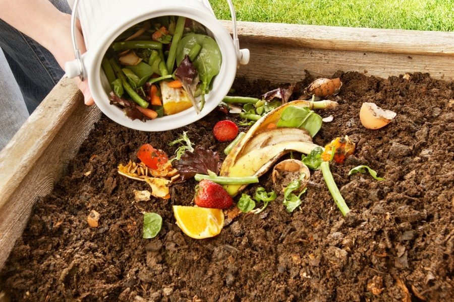 compostagem