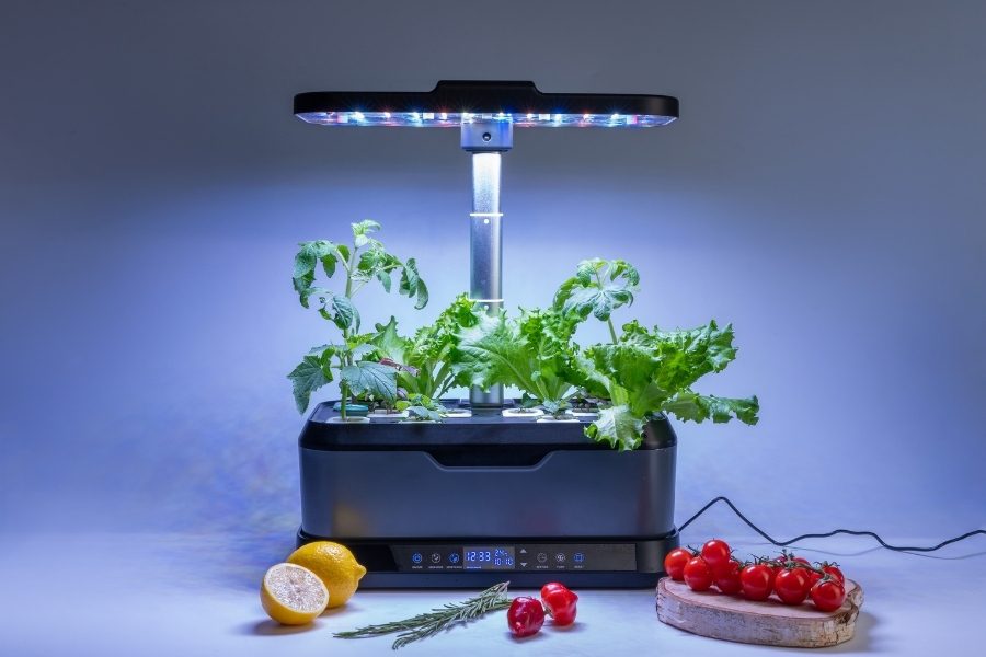 lampada para plantas