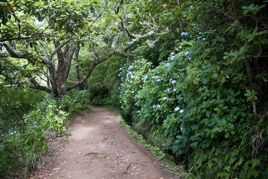 levada do caldeirão verde