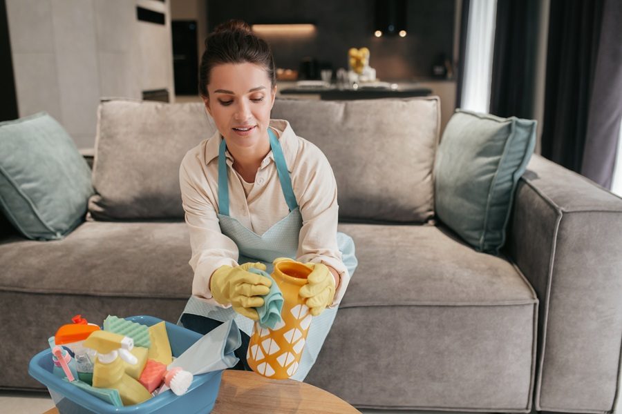 https://br.freepik.com/fotos-gratis/jovem-fazendo-trabalhos-domesticos-e-parecendo-ocupada_22706580.htm#fromView=search&page=1&position=47&uuid=00340758-cfb6-4202-8542-29ceef2e2f86&new_detail=true