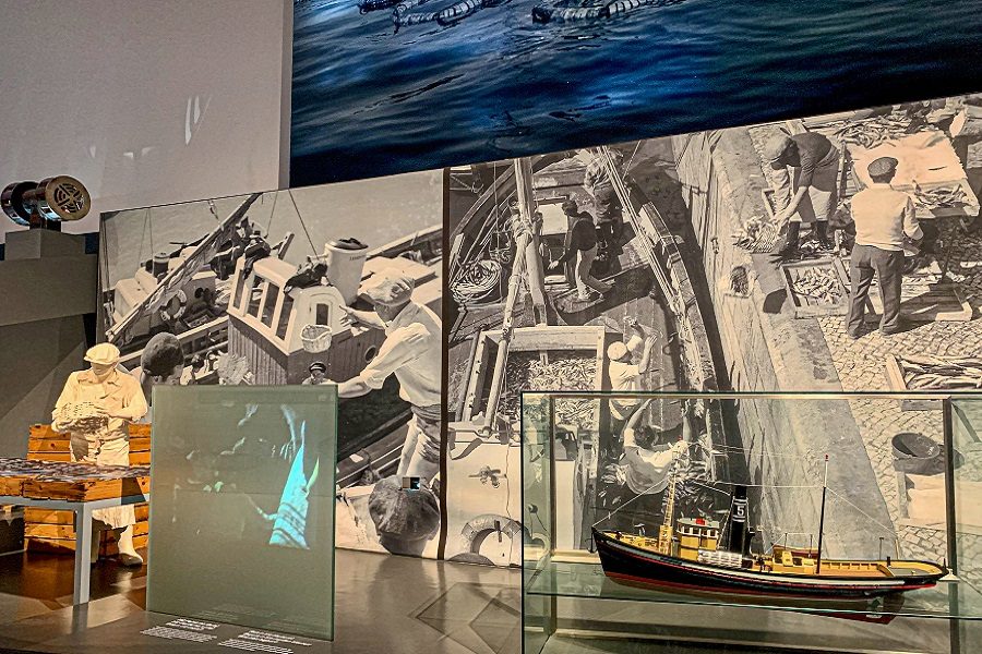 Museu de portimão portimão