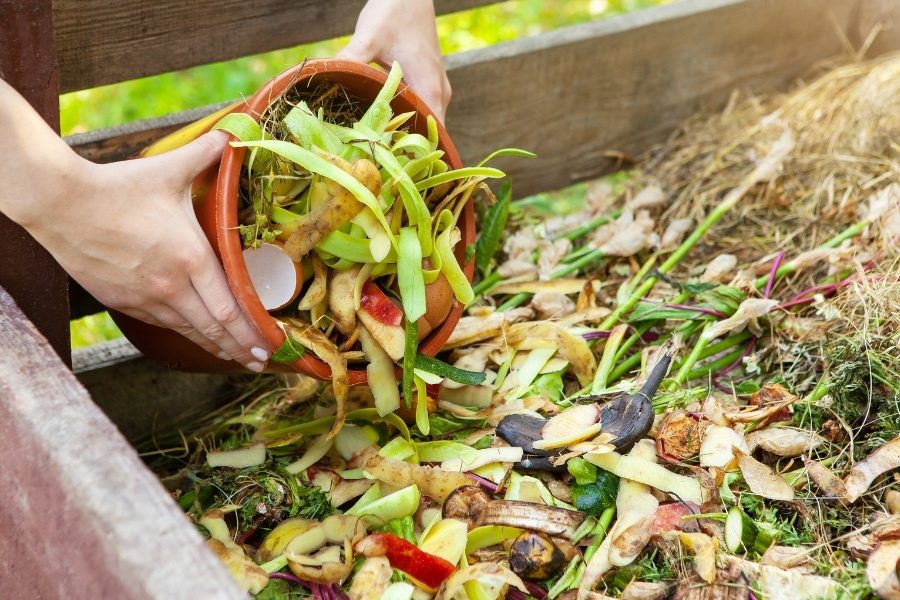 Resíduos que podem e não podem ser compostados