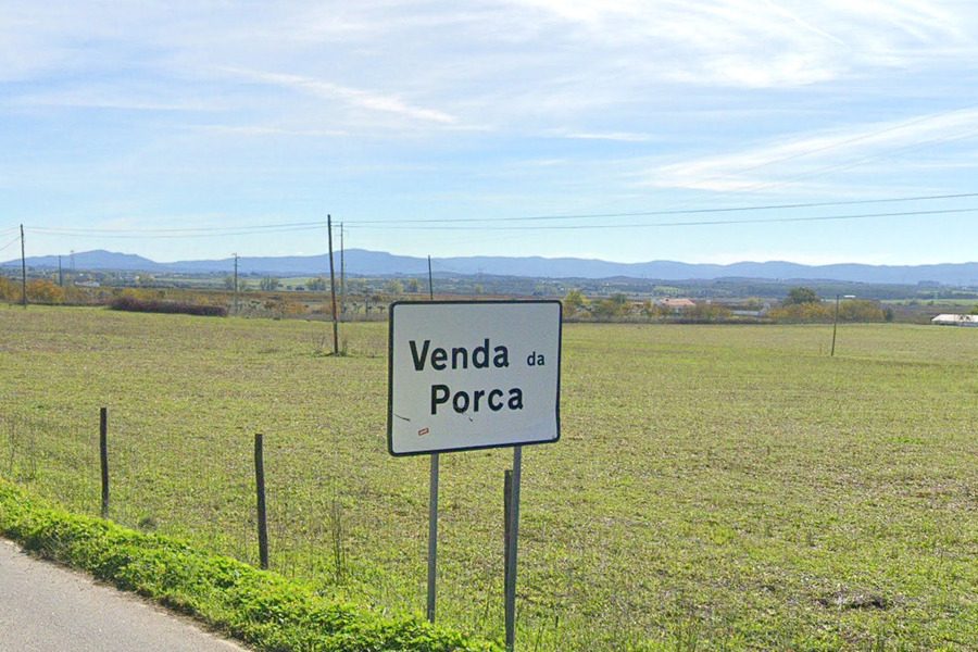 venda da porca