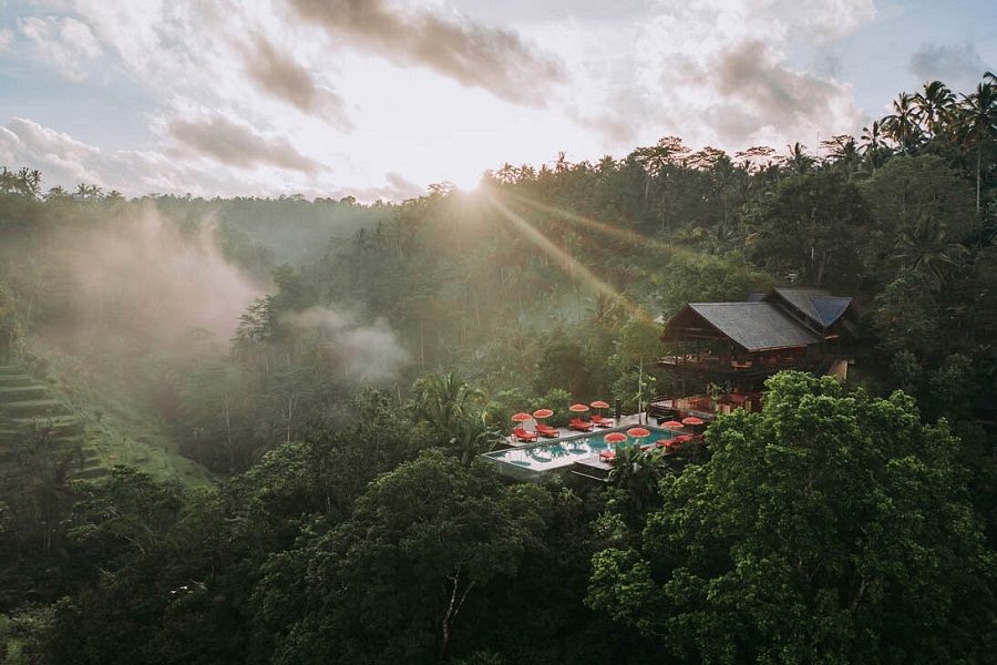 Banyan Tree Escape