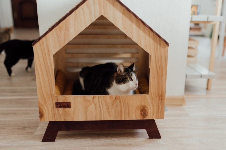 Como fazer móveis para gatos