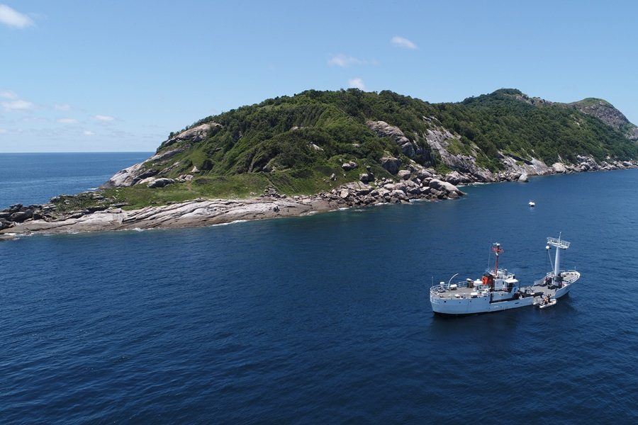 ilha das cobras