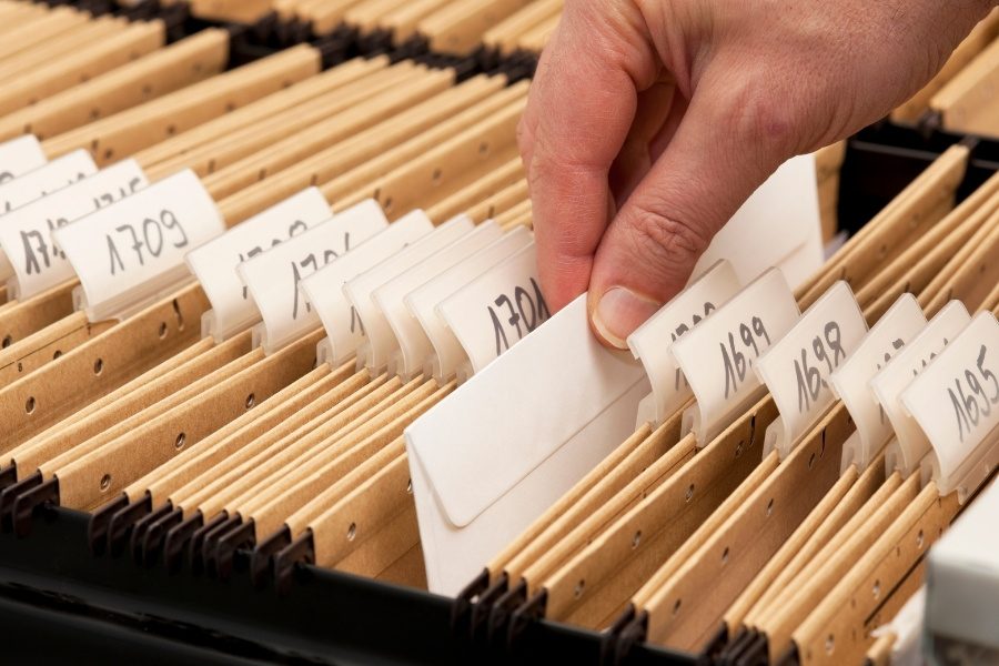 Os processos em análise