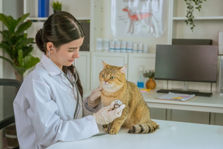 Benefícios para animais de estimação