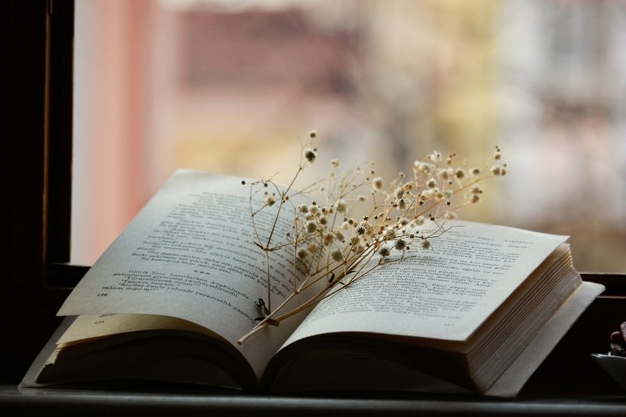 Como se celebra o Dia Mundial da Poesia