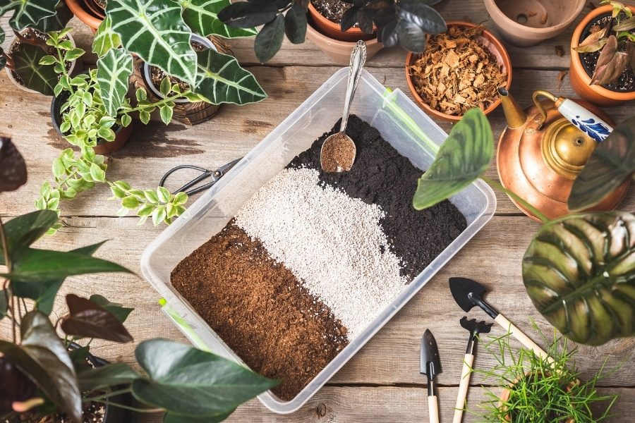 Como usar no cultivo de plantas