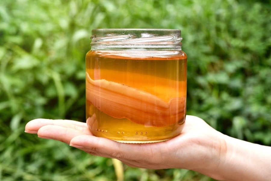 Benefícios da kombucha para a saúde
