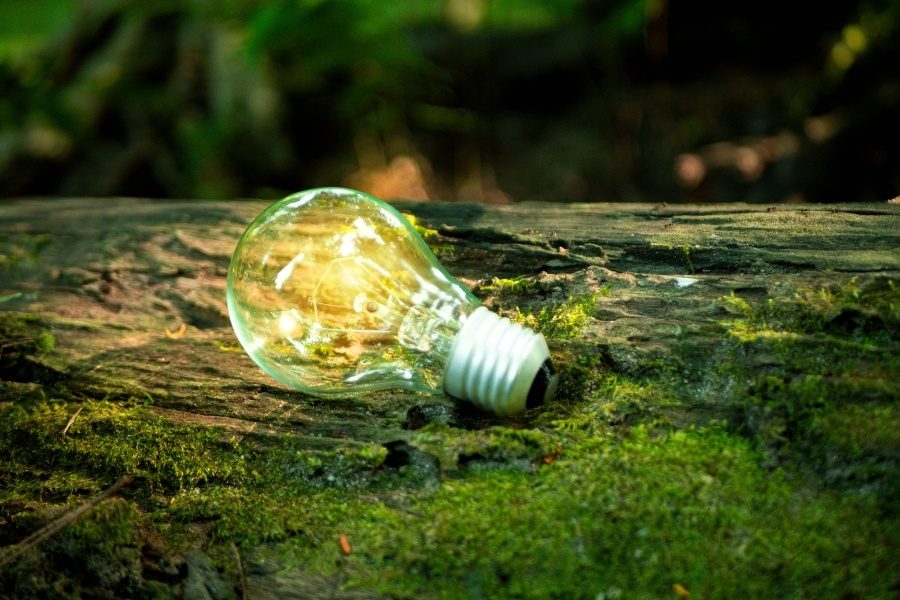 fundo ambiental