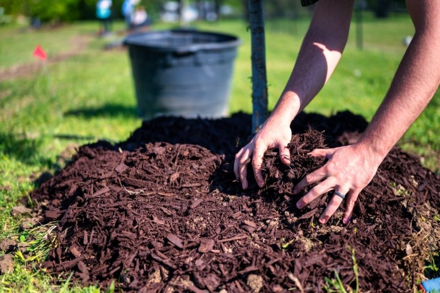 Materiais para mulching