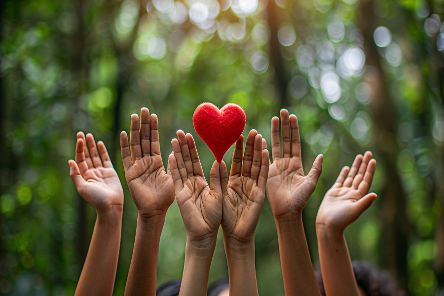 o que é uma associação de solidariedade social