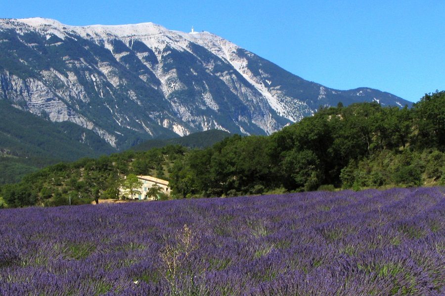Provença