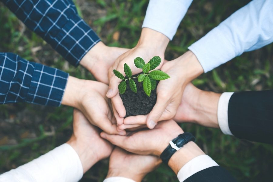 sustentabilidade ambiental