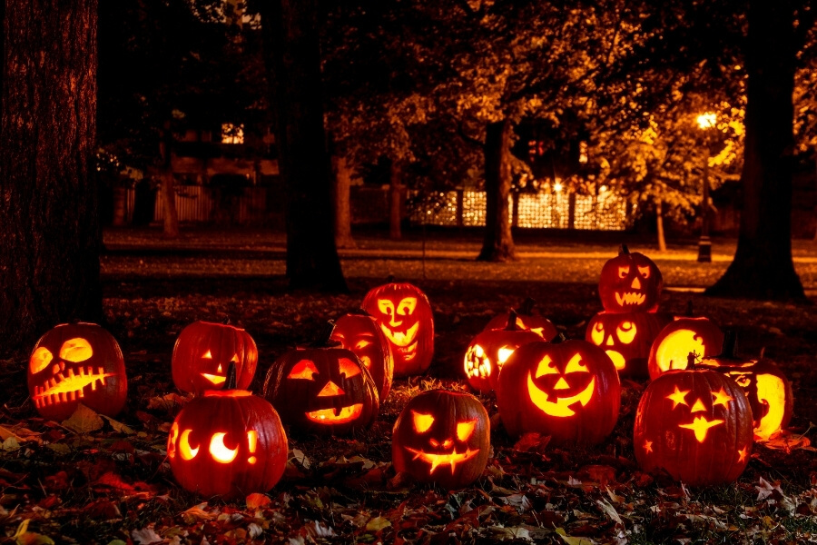 abobora para halloween