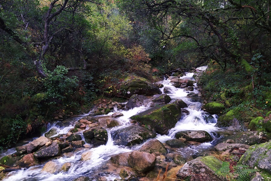 Melhor altura para visitar o Poço Azul