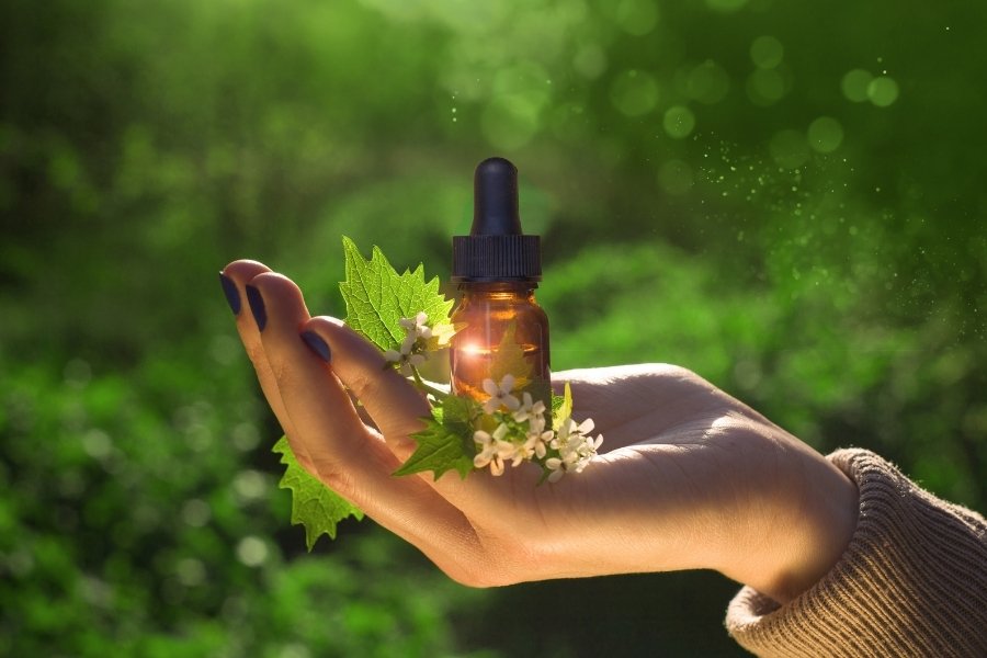 Como usar florais de Bach de forma segura