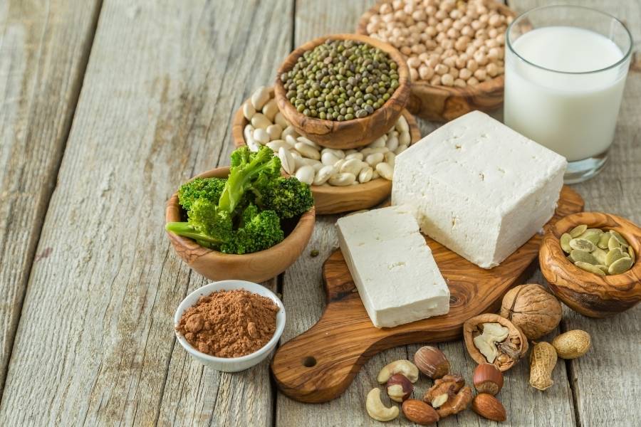 Quais são os alimentos ricos em proteína vegetal