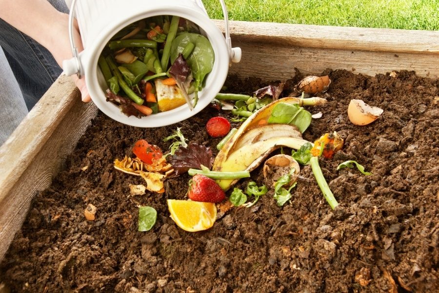 compostagem