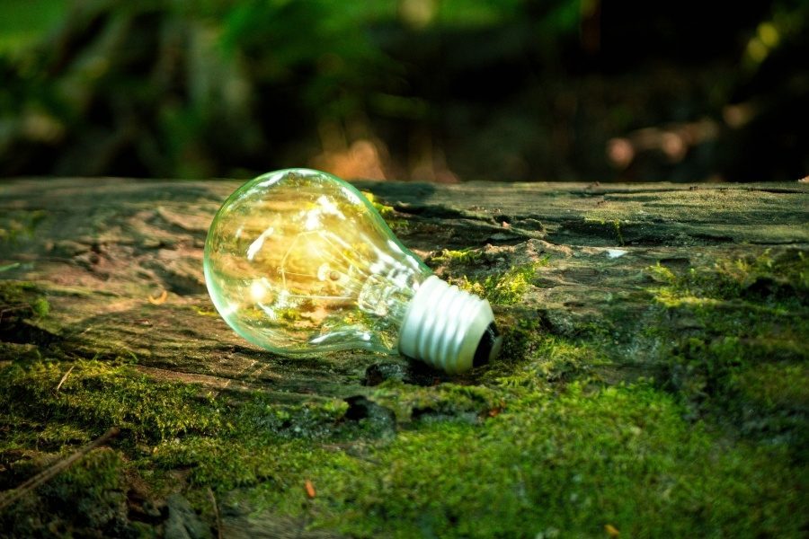 fundo ambiental